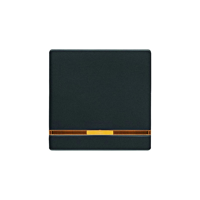 Berker Q.1/Q.3/Q.7 Wippe mit Linse 1-fach, schwarz samt