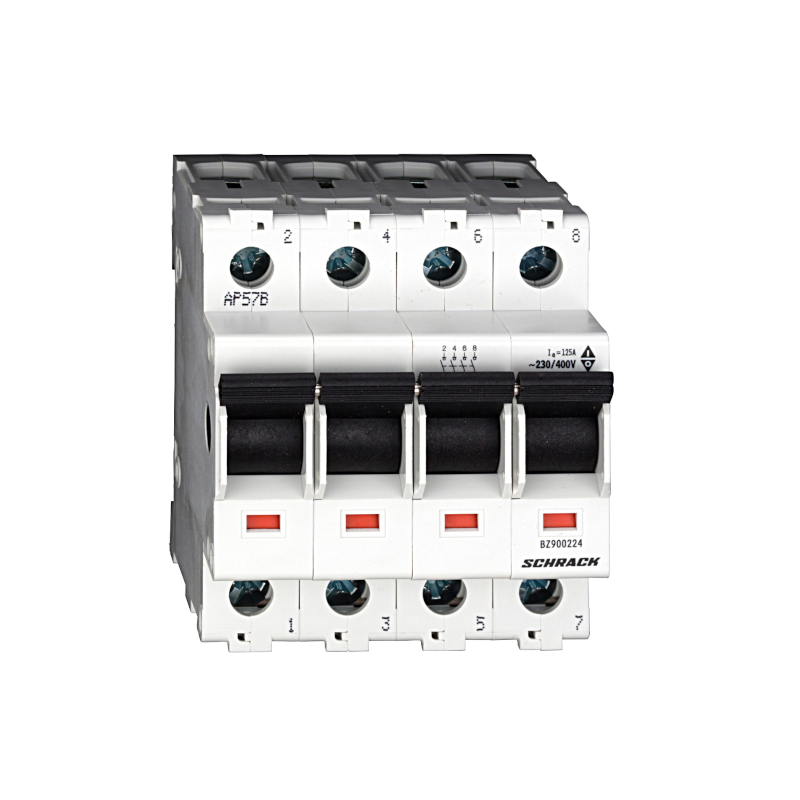 Schrack Hauptlasttrennschalter, isoliert, 125A, 4-polig (BZ900224--)