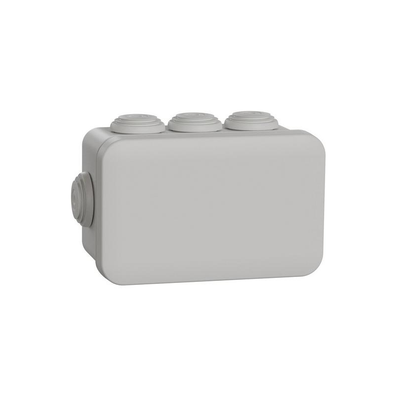Schneider Electric Feuchtraumdose 105x65x55mm grau