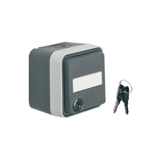 BERKER Steckdose SCHUKO mit Klappdeckel AP un Schloss