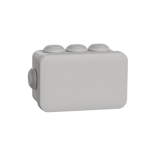 Schneider Electric Feuchtraumdose 105x65x55mm grau